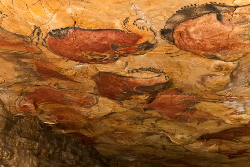 Altamira muestra los huesos de los bisontes pintados en su cueva