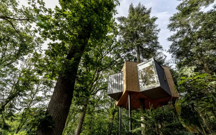 Minimalismo nórdico en estas cabañas en arboles de Dinamarca