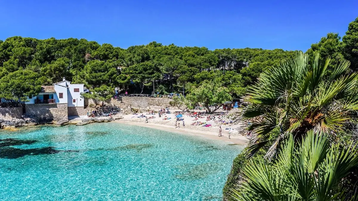 Tenerife y Mallorca, entre las islas más buscadas por los europeos