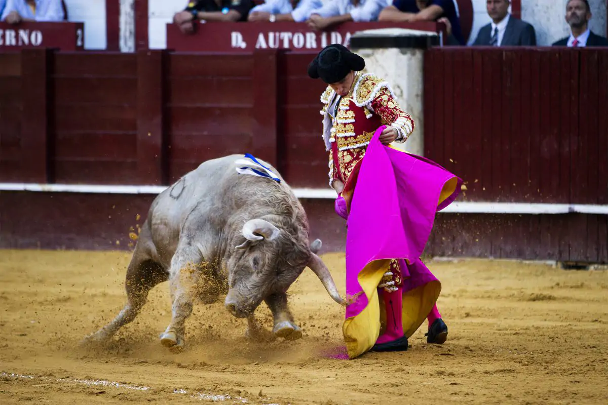 La tauromaquia, parte principal de nuestra cultura