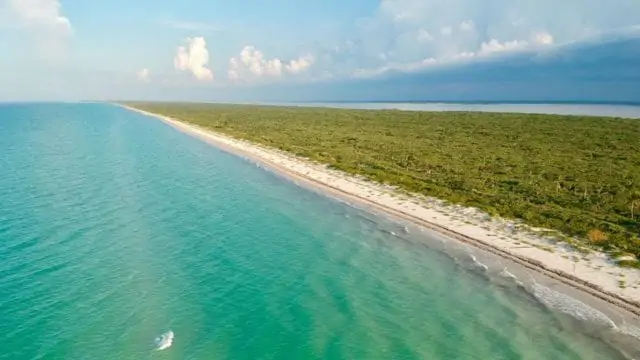 Tesoros naturales de la costa de Yucatán