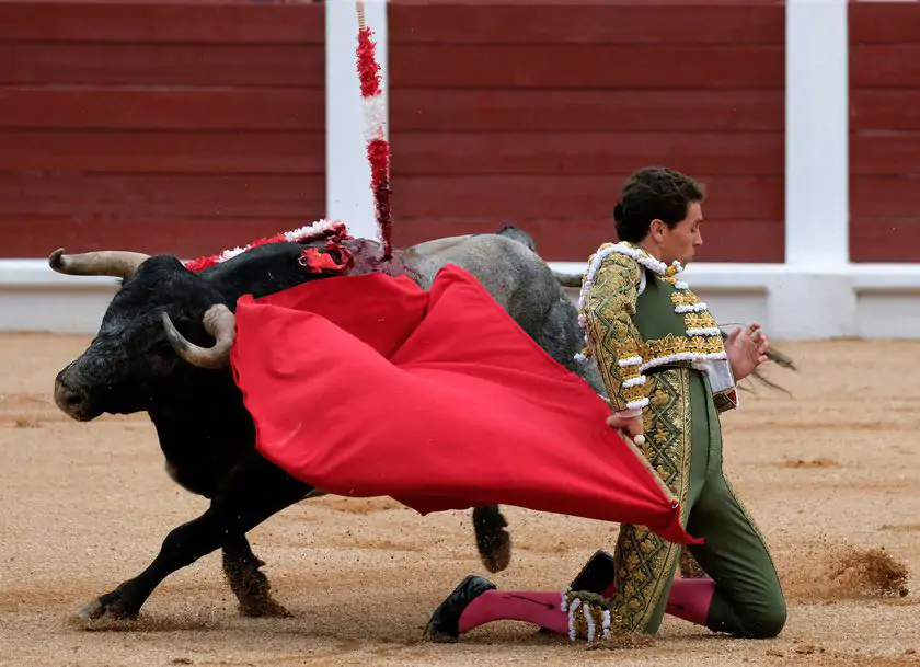 Buenos «santacolomas» en la vuelta de los toros a Gijón