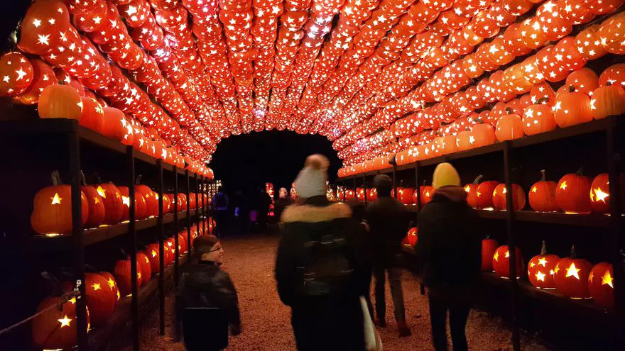 Halloween, el reinado de la calabaza