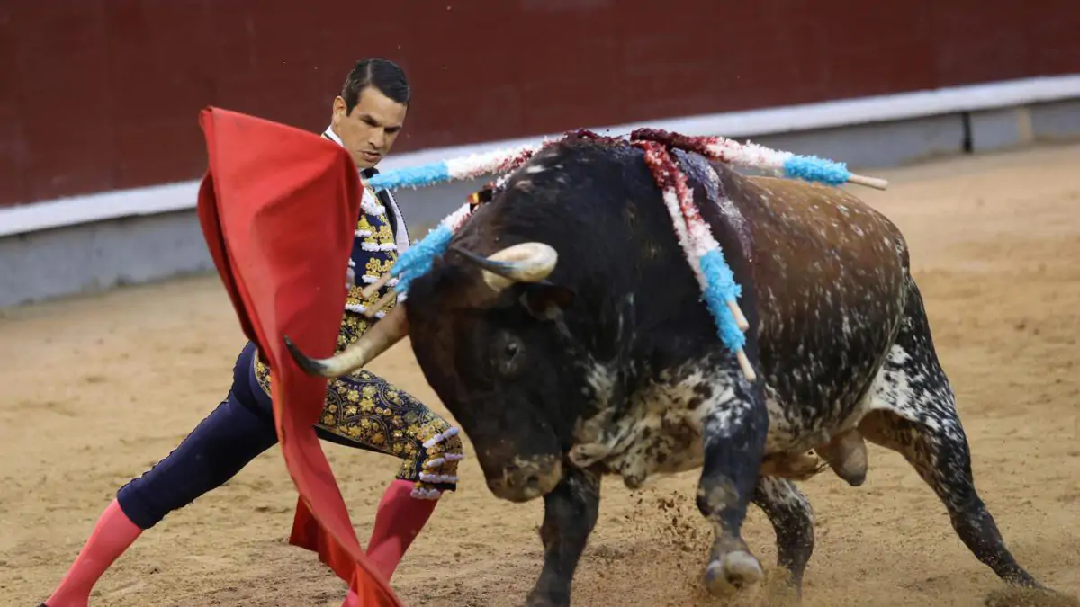Manzanares y Ureña dejan escapar dos toros de Puerta Grande en Madrid