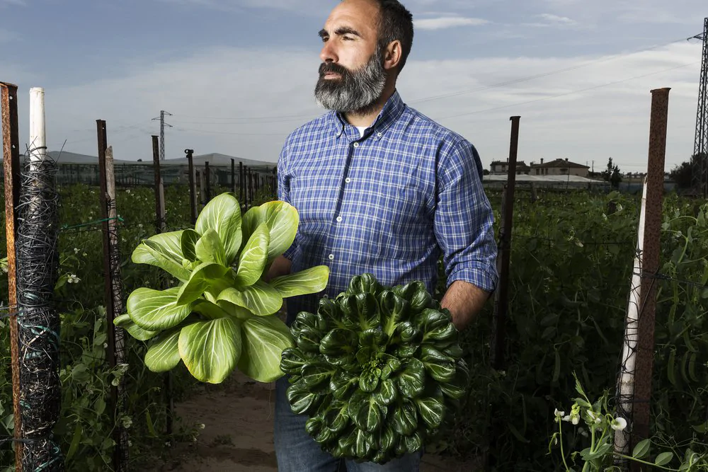 Rafael Monge, el agricultor sinvergüenza