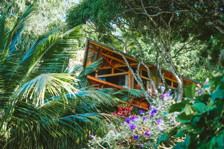 Vivir en los bosques tropicales de Brasil