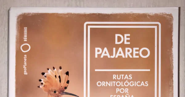 “De Pajareo”: un libro para recorrer las rutas ornitológicas españolas