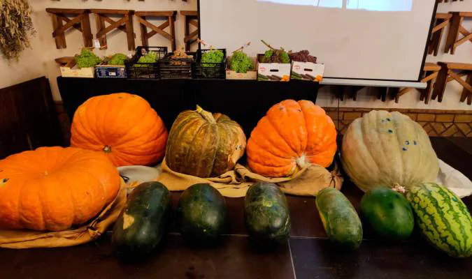 Una calabaza de 112 kilos