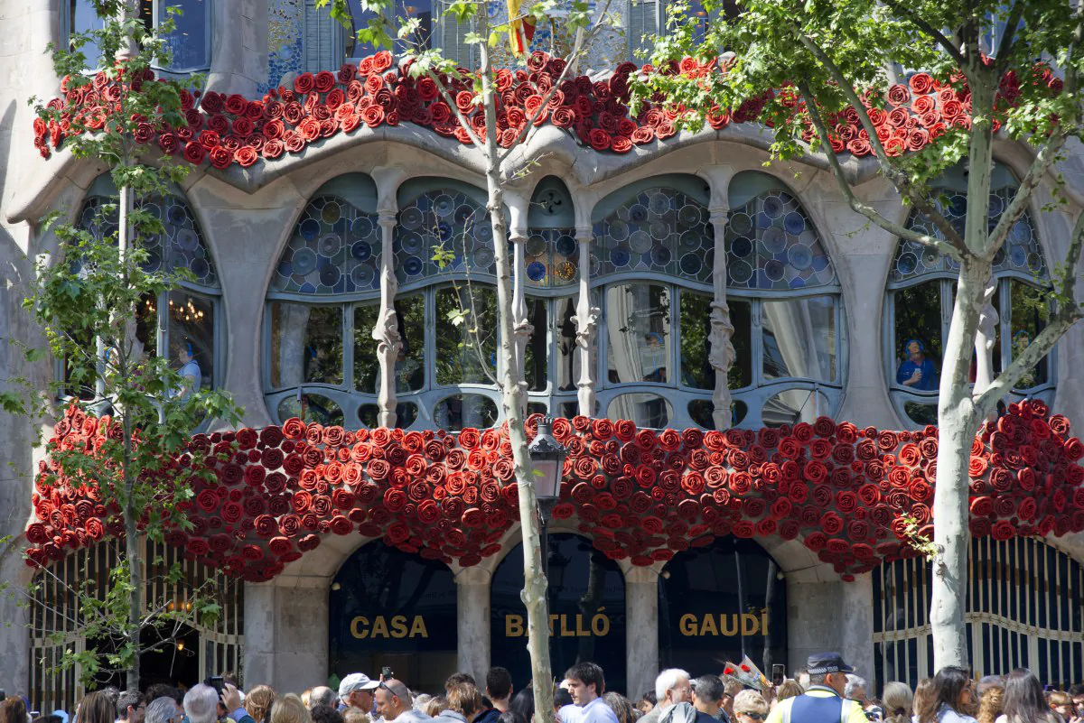 El día de la rosa y el libro