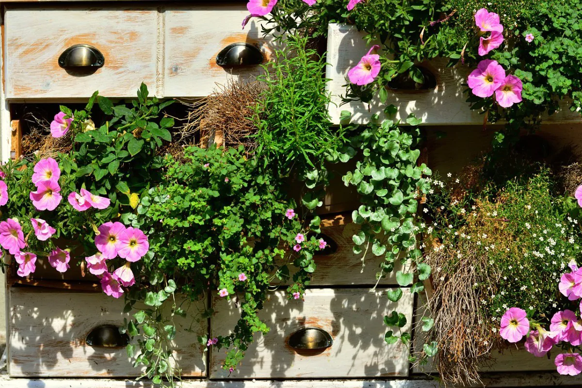 Las plantas primaverales