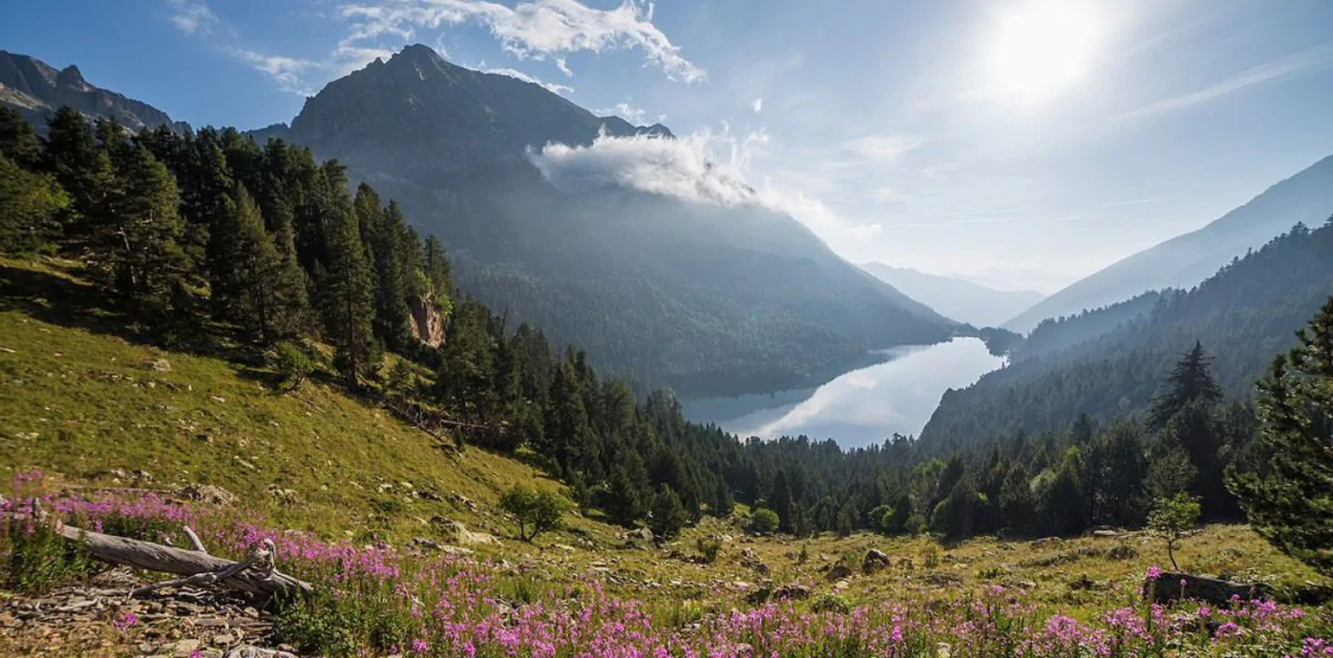 Parque Nacional de Aigüestortes: qué ver, actividades y cómo llegar